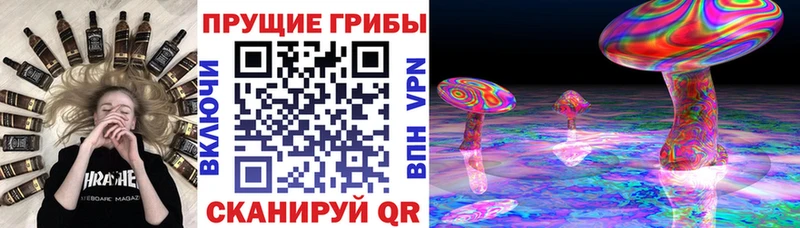 даркнет сайт  KRAKEN tor  Псилоцибиновые грибы Psilocybine cubensis  Ельня 